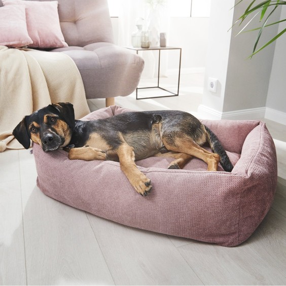 Laboni Tudor Hundebett - Agof Store