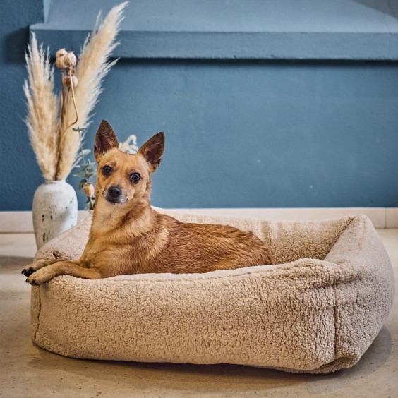 Laboni Teddy dog bed - Agof Store