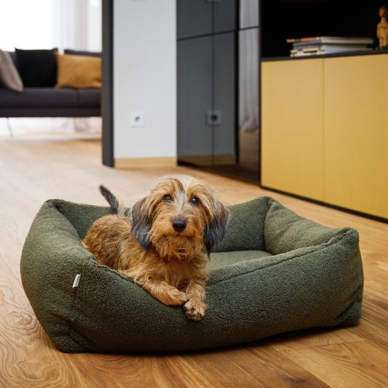 Laboni Teddy dog bed - Agof Store