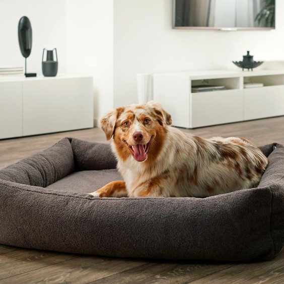 Teddy cuccia per cani Laboni - Agof Store