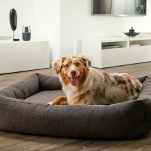 Laboni Teddy Hundebett - Agof Store