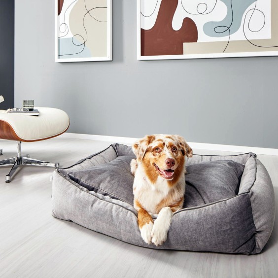 Laboni Glam dog bed - Agof Store