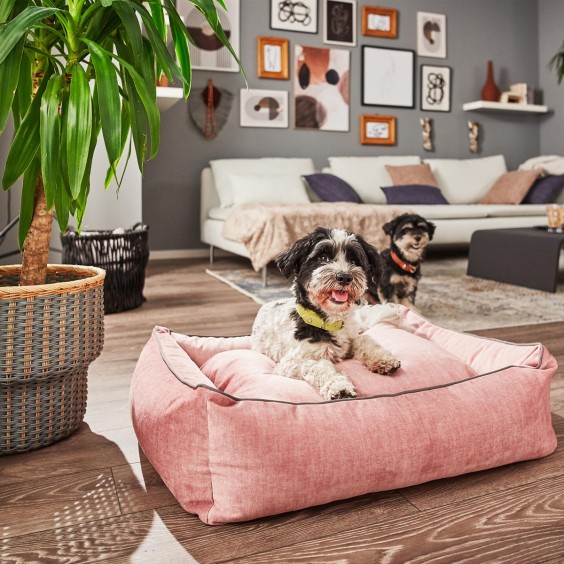 Laboni Glam dog bed - Agof Store