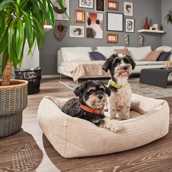 Laboni Nova orthopaedic dog bed - Agof Store