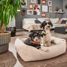 Nova cuccia ortopedica per cani Laboni - Agof Store Nova cuccia ortopedica per cani Laboni - Agof Store