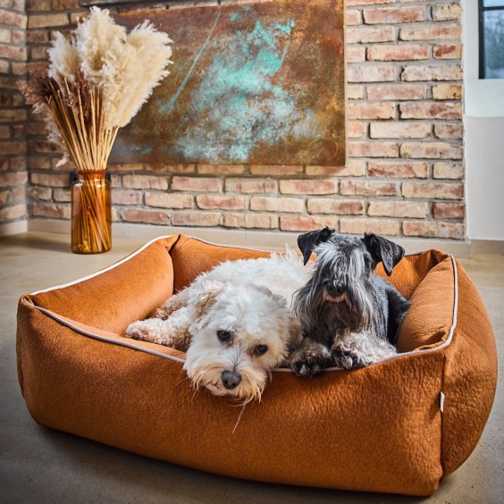 Laboni Buffalo orthopädisches Hundebett - Agof Store