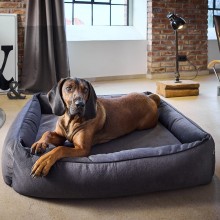 Laboni Buffalo orthopaedic dog bed - Agof Store