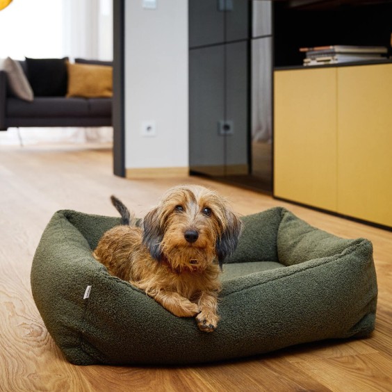 Laboni Teddy orthopädisches Hundebett - Agof Store