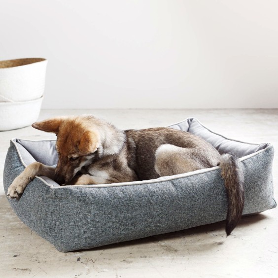 Scala cuccia ortopedica per cani Laboni - Agof Store