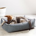 Laboni Scala orthopädisches Hundebett - Agof Store