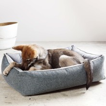 Laboni Scala orthopaedic dog bed - Agof Store Laboni Scala orthopaedic dog bed - Agof Store