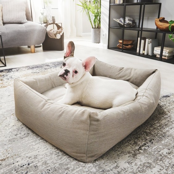 Laboni Smooth orthopaedic dog bed - Agof Store