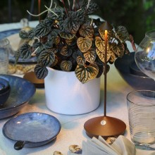 Zafferano Pina Pro Akku Tischlampe - Agof Store