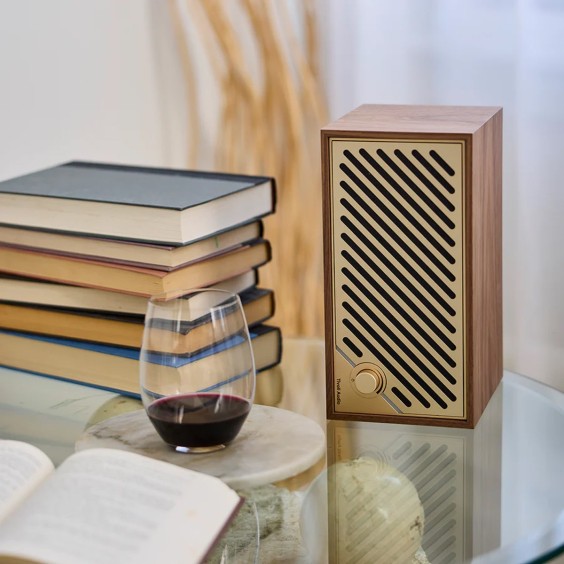 Model Two Digital speaker Bluetooth Tivoli Audio - Agof Store