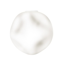 Foscarini Hoba grande Wand- Deckenleuchte - Agof Store Foscarini Hoba grande Wand- Deckenleuchte - Agof Store