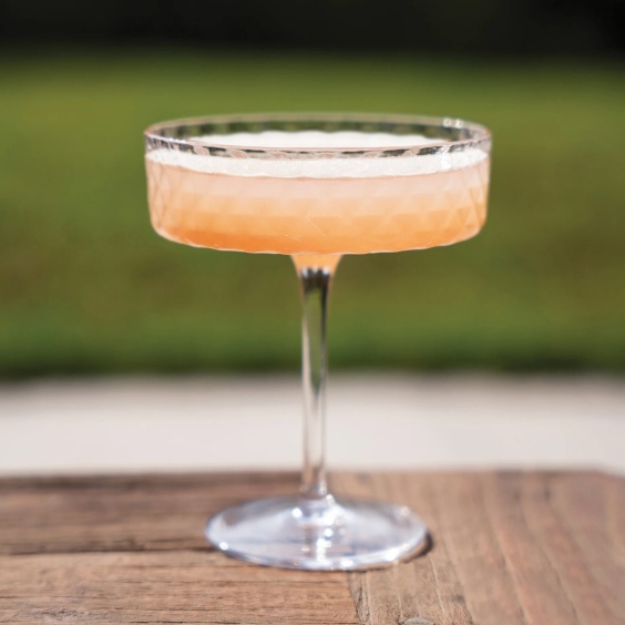 Veneziano Mixology coppa Zafferano - Agof Store