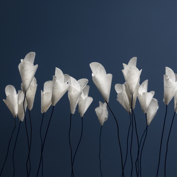 Catellani & Smith For You table lamp - Agof Store