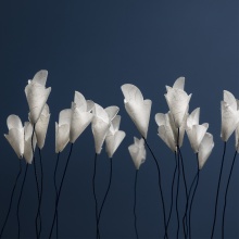 Catellani & Smith For You table lamp - Agof Store