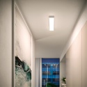 Linea Light Igloo Wand- Deckenleuchte - Agof Store