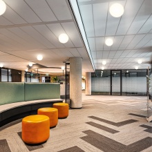 Oh LED Lampada da parete soffitto Linea Light - Agof Store