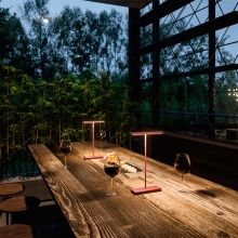 Dubcolor Lampada ricaricabile da tavolo Linea Light - Agof Store