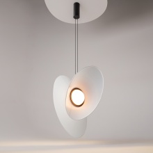 Maytoni Evolution pendant lamp - Agof Store