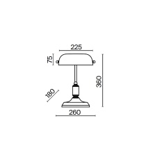Maytoni Kiwi table lamp - Agof Store