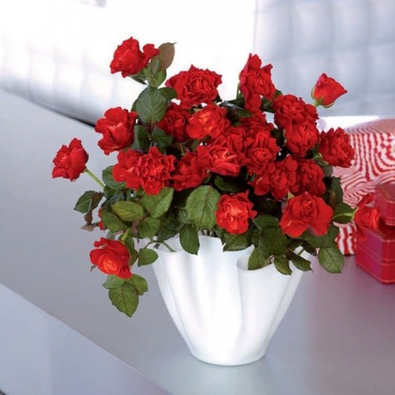 Fontana Arte Cartoccio vase - Agof Store