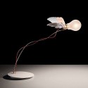 Lucellino Lampada da tavolo Ingo Maurer - Agof Store