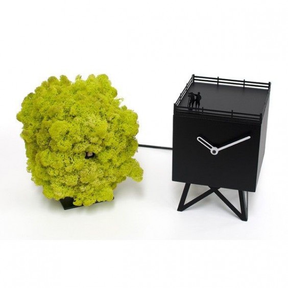 Birdwatching orologio cucù da tavolo Progetti - Agof Store