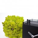 Progetti Birdwatching cuckoo table clock - Agof Store