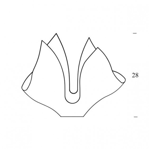 Fontana Arte Cartoccio Q Vase - Agof Store