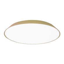 Artemide Febe wall ceiling lamp - Agof Store Artemide Febe wall ceiling lamp - Agof Store