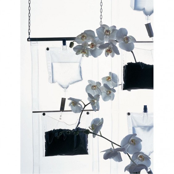 Driade Erbale Pflanzenhalter - Agof Store