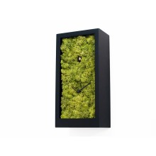 Progetti Amazon Kuckucksuhr - Agof Store Progetti Amazon Kuckucksuhr - Agof Store