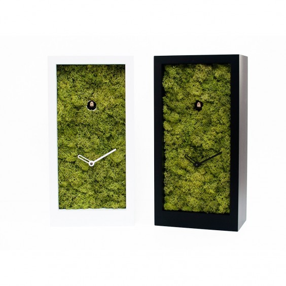 Progetti Amazon cuckoo clock - Agof Store