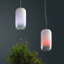 Artemide Gople Lampada a sospensione - Agof Store
