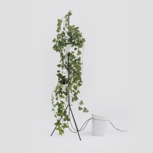 Danese Milano Window Garden Self-Standing Vase - Agof Store Danese Milano Window Garden Self-Standing Vase - Agof Store