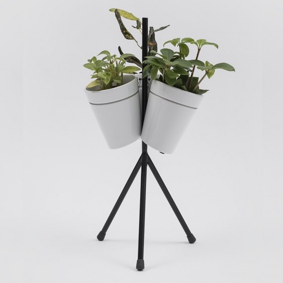 Danese Milano Window Garden Table Vase - Agof Store