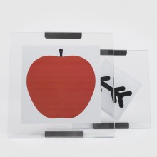 Danese Milano Galapagos Frame - Agof Store