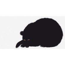 Sei, L'Orso stampa Danese Milano - Agof Store Sei, L'Orso stampa Danese Milano - Agof Store