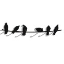 Birds on wire appendiabiti Covo - Agof Store