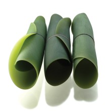 Season medium piatto Covo - Agof Store