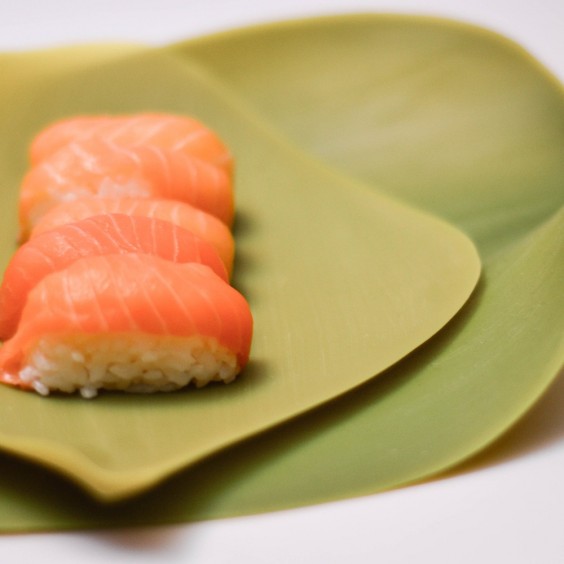 Covo Season medium Dish - Agof Store