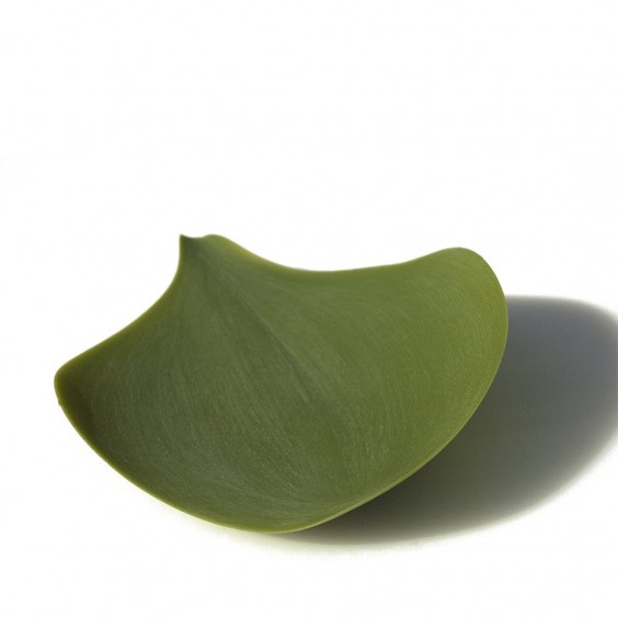Season small piatto Covo - Agof Store