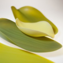 Covo Season mini Dish - Agof Store