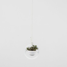 Formae Saturno pendant vase - Agof Store