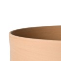 Erba vaso Internoitaliano - Agof Store