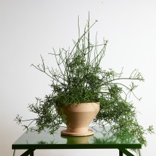 Mira vaso Internoitaliano - Agof Store