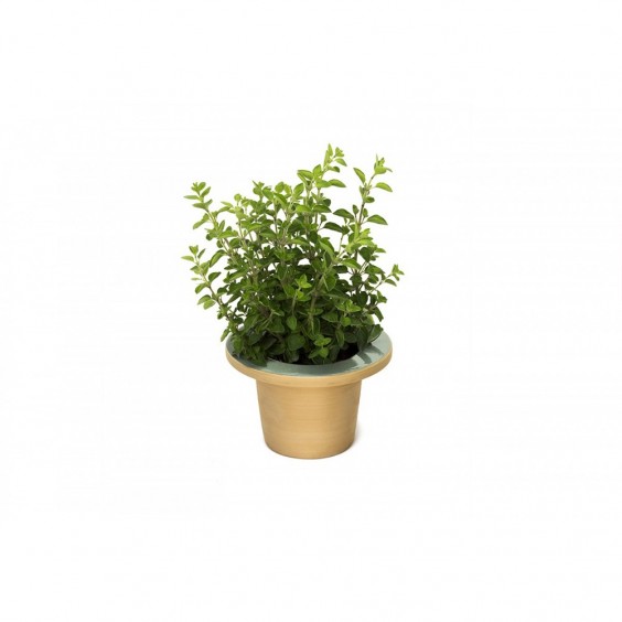 Pofi portavaso Internoitaliano - Agof Store